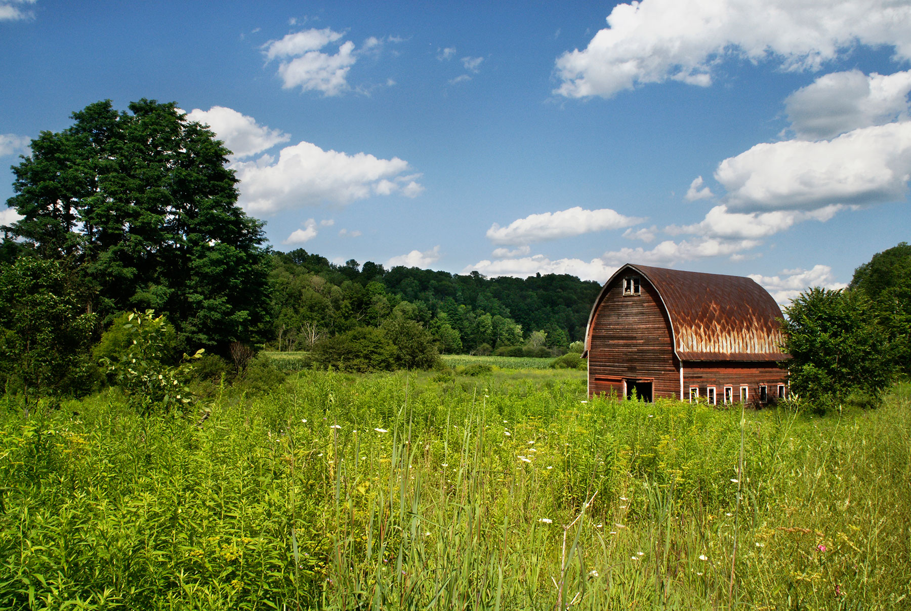 nature-field-countryside-house