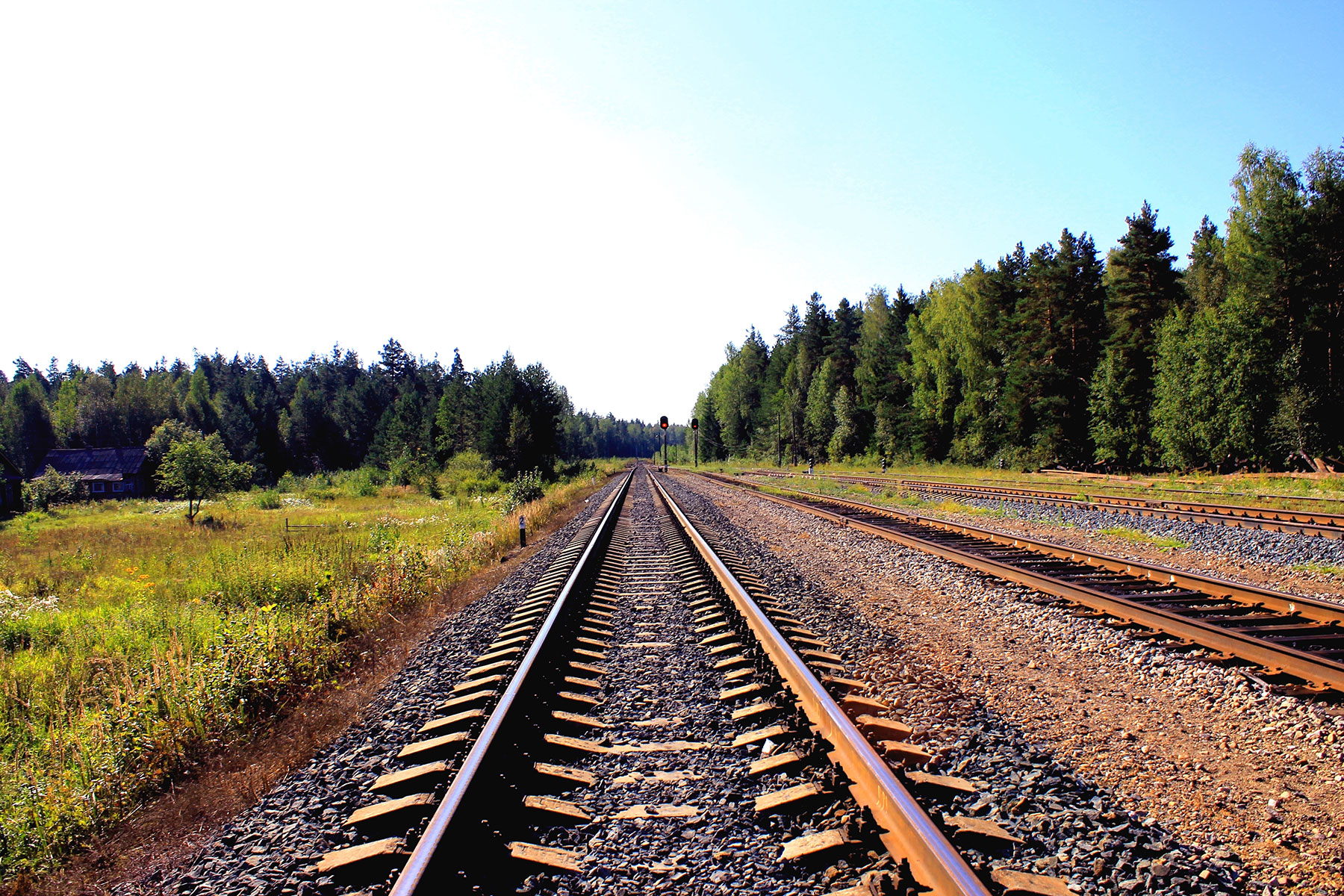 sky-forest-rails-straight